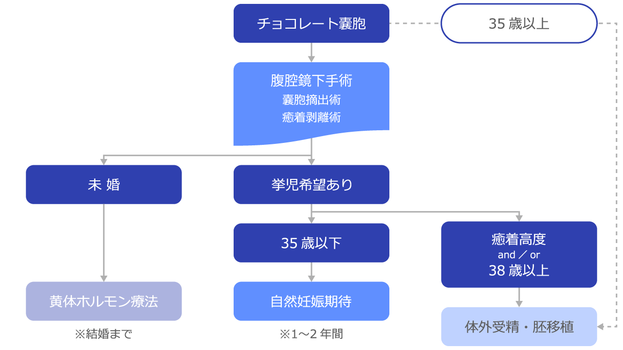 チョコレート嚢胞合併不妊症治療の実際